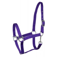 ��������� Inter Api Eco