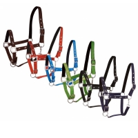 ��������� Inter Api Active Horses