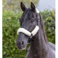 ��������� LeMieux Comfort