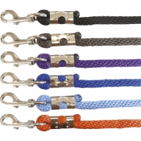 ������ Norton Bright