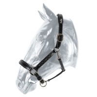 ��������� Kentaur �������