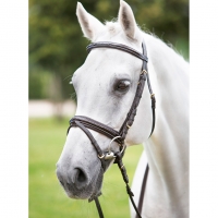 �������� �������