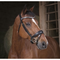 ������� Norton Strass