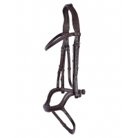 ������� Harrys Horse Anatomic