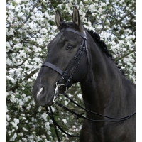 �������� ����������� Riding World