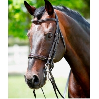 �������� ����������� Tattini ������������