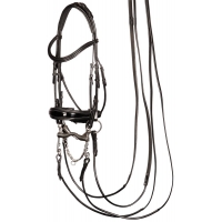 �������� ����������� Harrys Horse Grand Prix