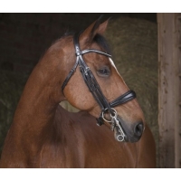 �������� ����������� Norton PRO