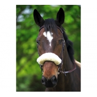 ��������� �� �������, CSO