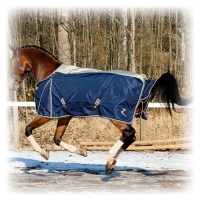 �������� �������