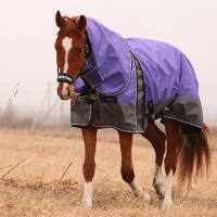 Интернет магазин