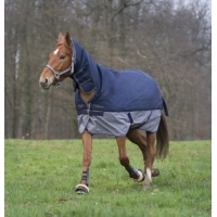 ������ �������� � ������� Equi-Theme Tyrex 600D