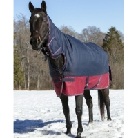 ������ �������� � ������� Equi-Theme Tyrex 1200D