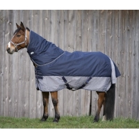 ������ �������� � �������� ��������� Tyrex 600D, Equi-Theme