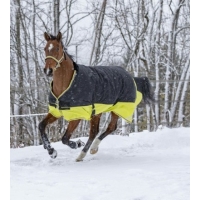 ������ ���������� ����������� Equi-Theme TYREX �� ��������������� ������ 600 Den 300��