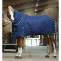 ������ ���������� � ������� Riding World, 300�