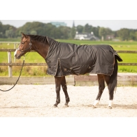 ������ ���������� ����������� Harrys Horse � ������� ���� 600 Den 200��