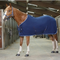 ������ ���� Riding World � �������