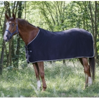 ������ ���� Riding World