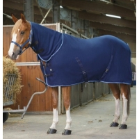 ������ ���� � ������� Riding World