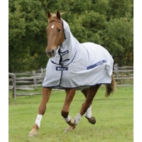 �������� �������