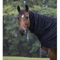 ����� ��������, Equi-Theme