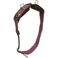 ������� ���������, Tattini