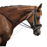 ������ ���� � �������, Norton