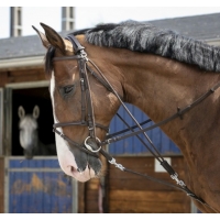 ���, Riding World