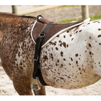 ����� Bareback, Norton