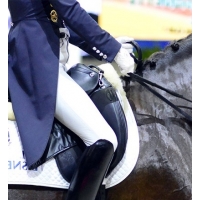 �������� �������