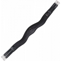 �������� ������� ������������� Dijon, Kentaur