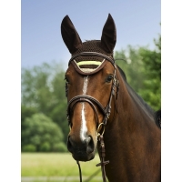 ���� Equi-Theme Stripe