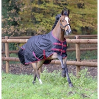 ������ �������� Covalliero RugBe Zero.1