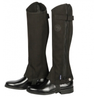 ����� ��� �������� ���� Amara Grand Prix, Harrys Horse