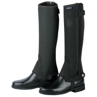 ����� ��� �������� ���� Amara Harrys Horse