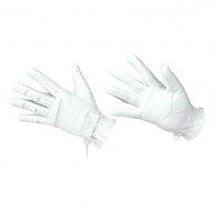 �������� ������� ��� ����������� LAG Domi-Sued