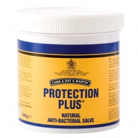 ����������������� ���� Protection Plus Carr&Day&Martin 500 ��