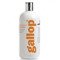 �������-����������� GALLOP Carr&Day&Martin 500 ��