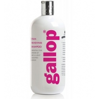 ������� �������������� GALLOP Carr&Day&Martin 500 ��