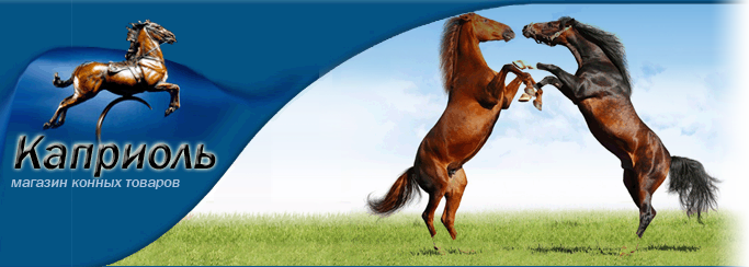 �������� �������